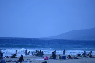 DSC_4990 (Large).JPG